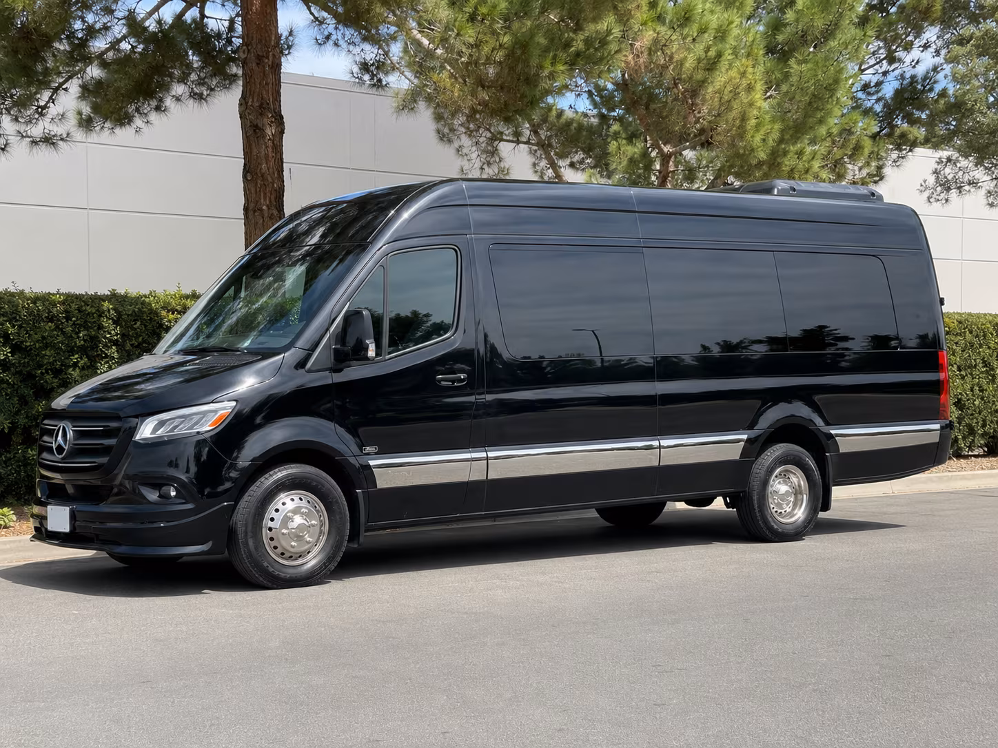 chico sprinter van with driver